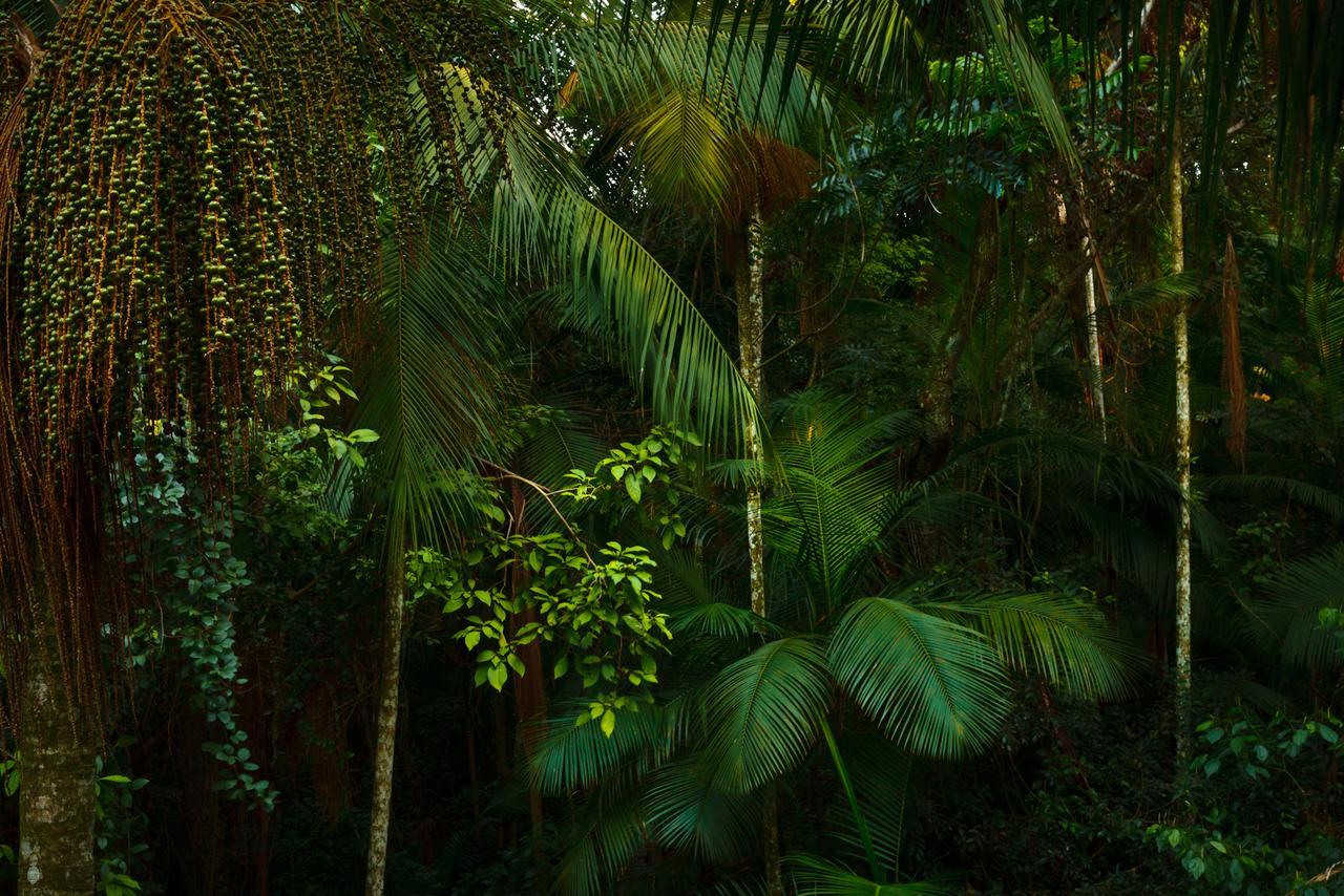 Yacutinga Lodge Puerto Iguazu Bagian luar foto